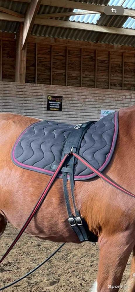 Equitation - Tapis harcour - photo 1