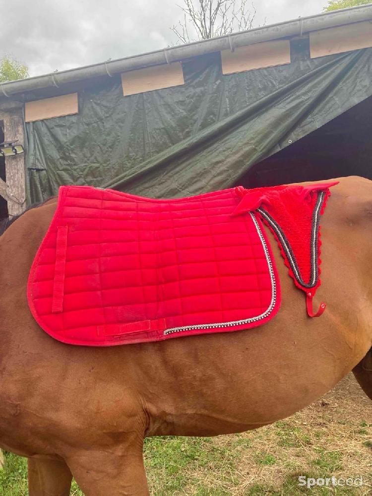 Equitation - Ensemble tapis et bonnet équitation  - photo 1