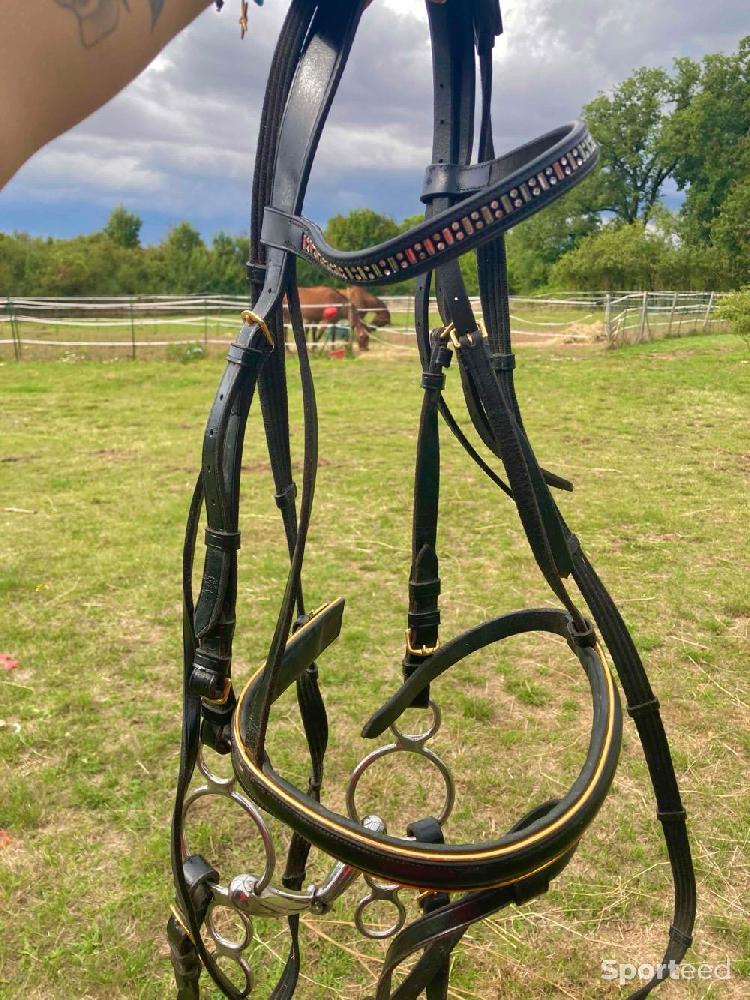 Equitation - Filet noir et doré taille cheval  - photo 2