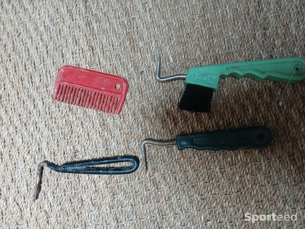 Equitation - Guêtres et accessoires  - photo 2