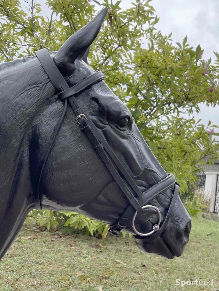 Equitation - Filet simple noir 🖤 en cuir (avec rênes et 2 frontaux) - photo 1