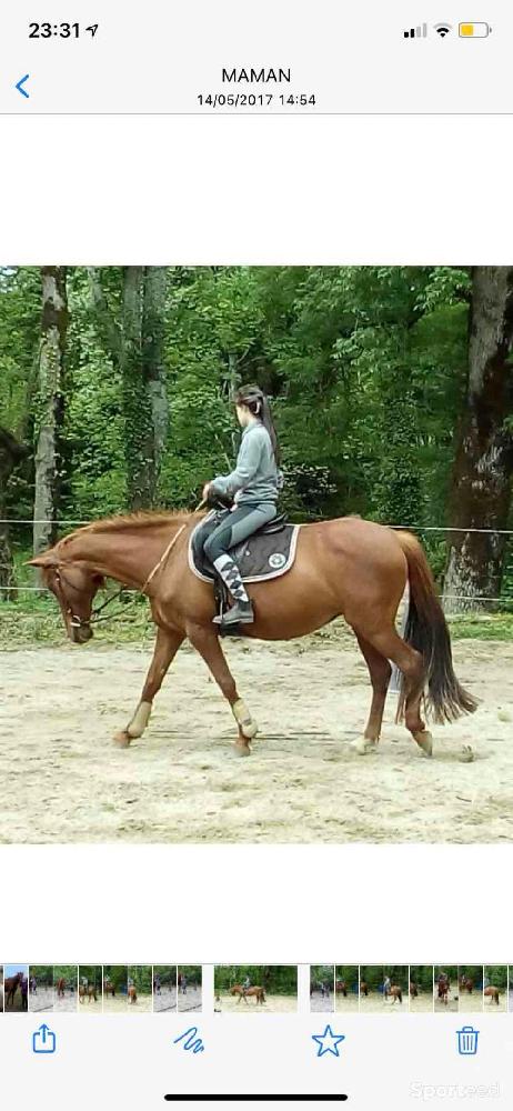 Equitation - Selle mixte  - photo 2