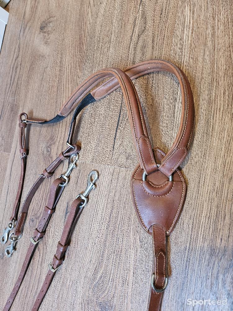 Equitation - Collier de chasse en cuir eric thomas  - photo 2