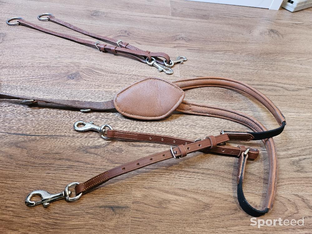 Equitation - Collier de chasse en cuir eric thomas  - photo 3