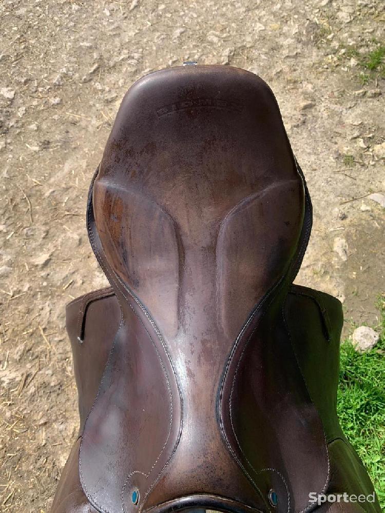 Equitation - Selle mixte plutôt cso - photo 3