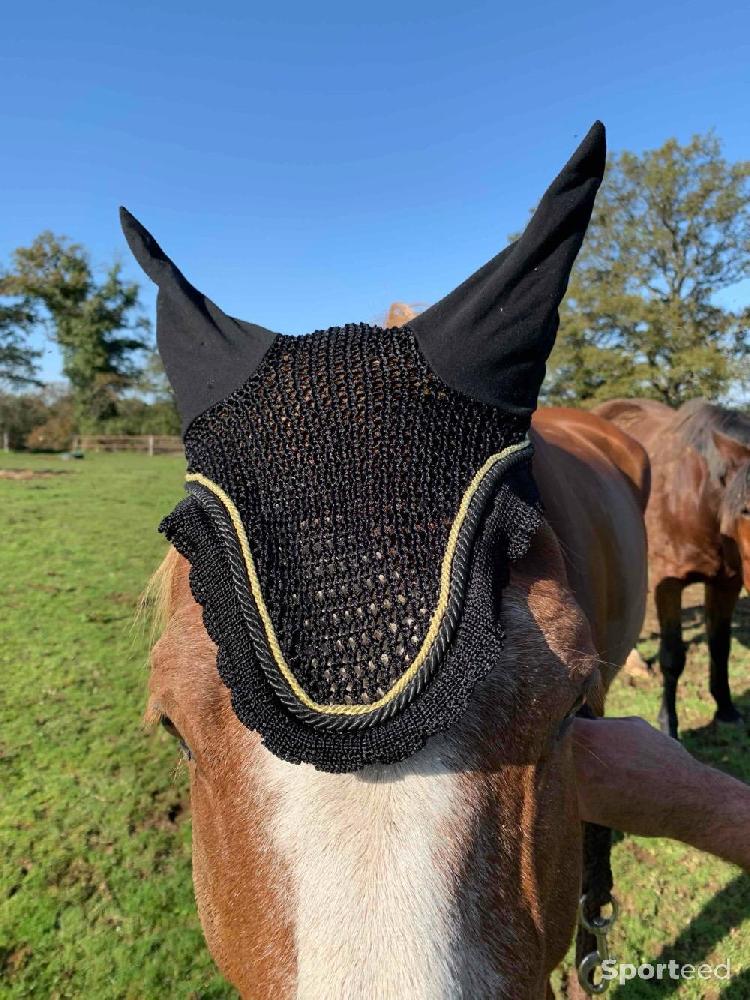 Equitation - Bonnet taille cheval - photo 1