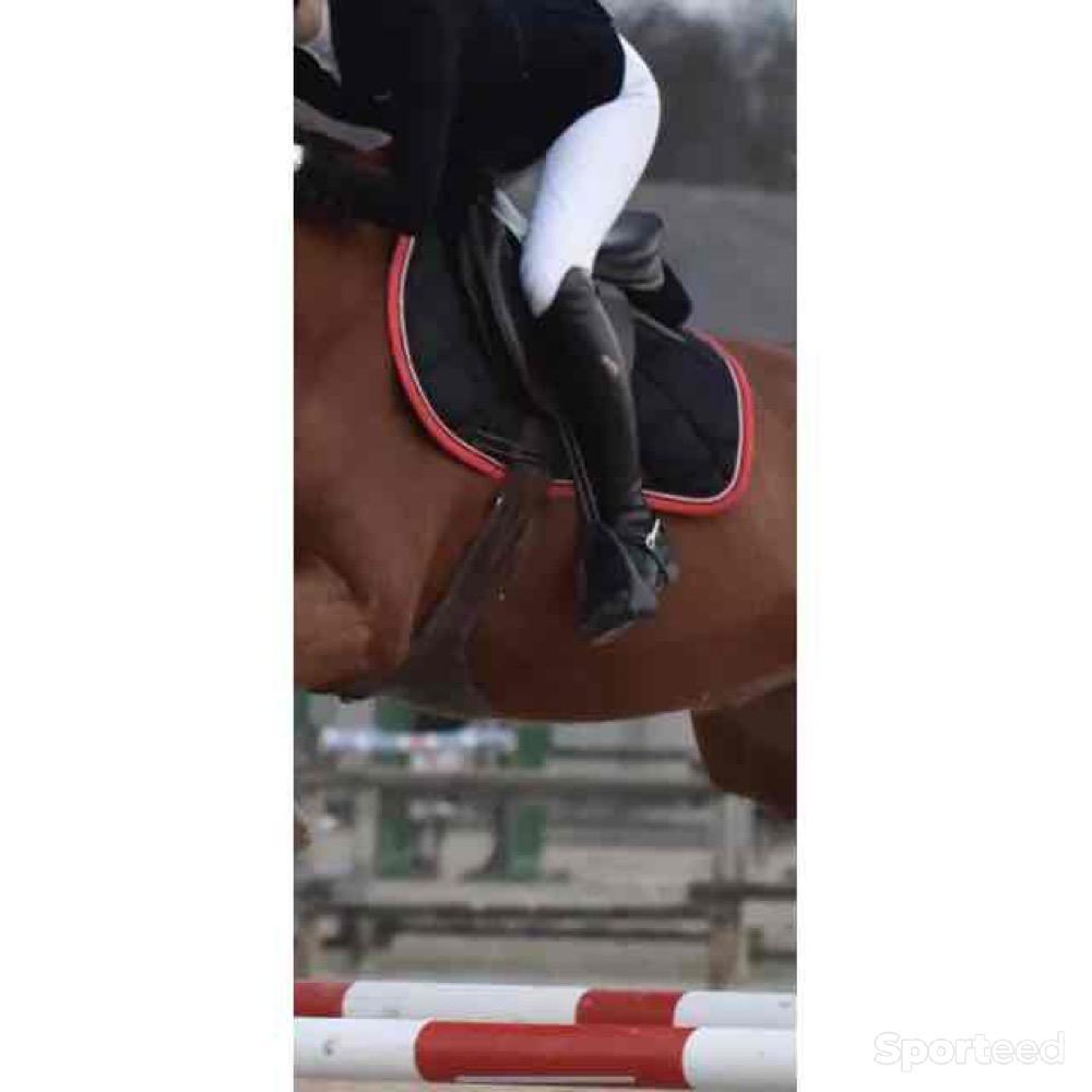 Equitation - Tapis RG sport noir et rouge   - photo 3