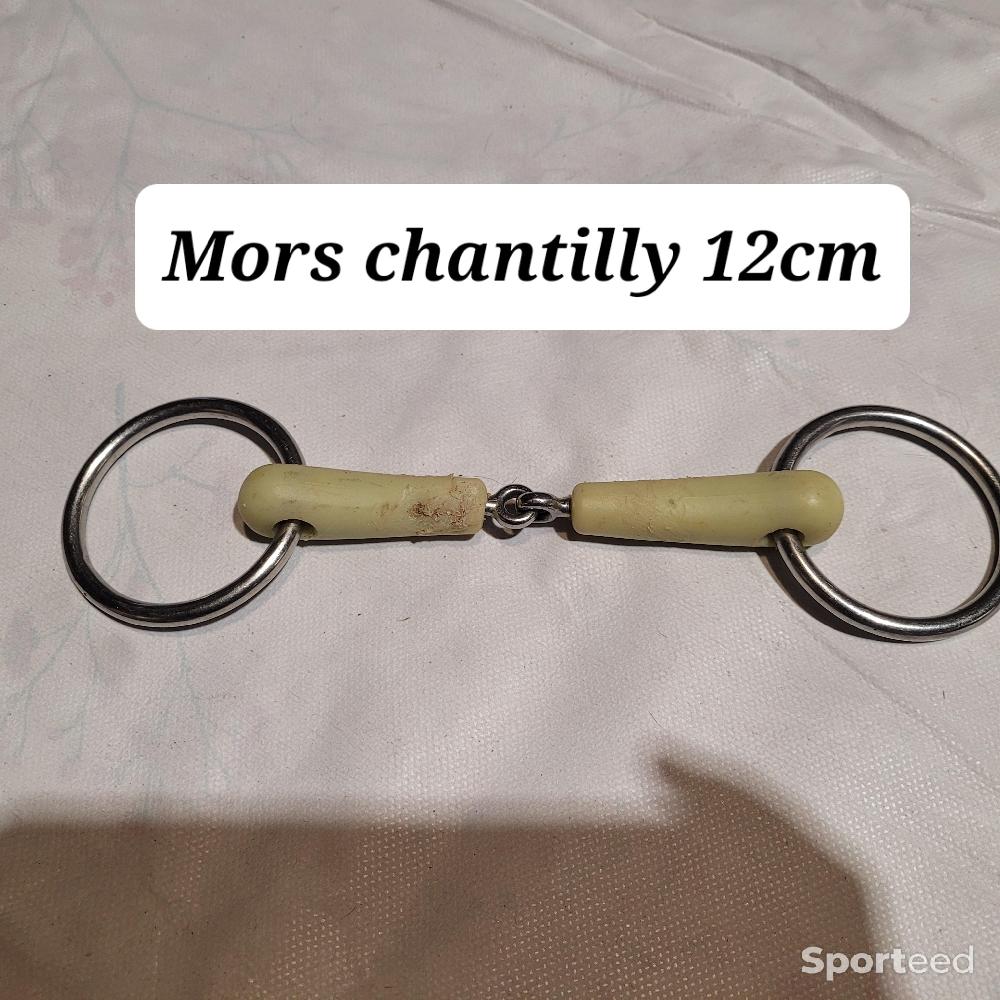 Equitation - Mors chantilly avec embout vert simple brisure 12cm - photo 1