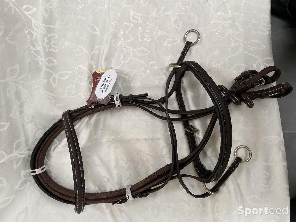 Equitation - side-pull  - photo 4