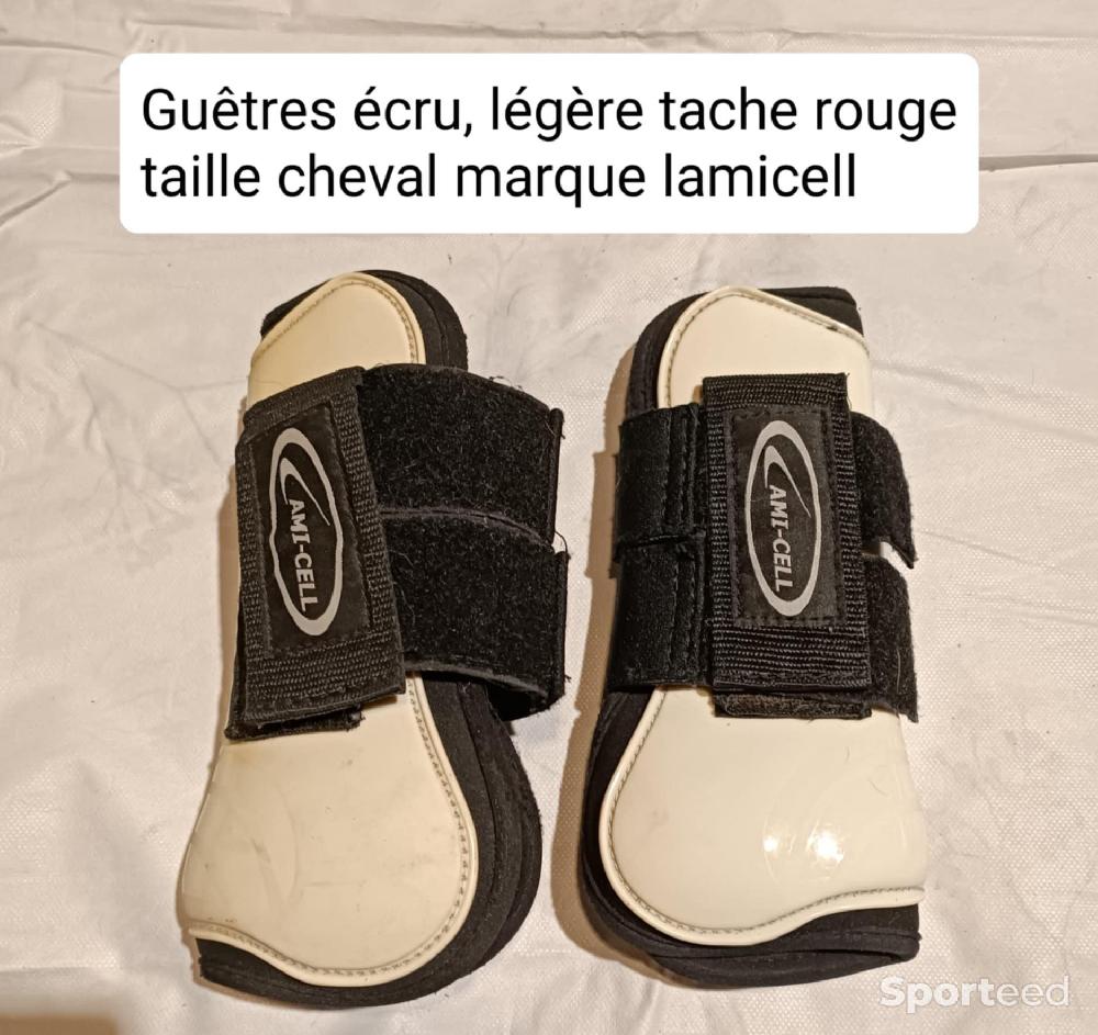 Equitation - Guêtres écru, légère tâches rouges taille cheval marque lamicell - photo 1