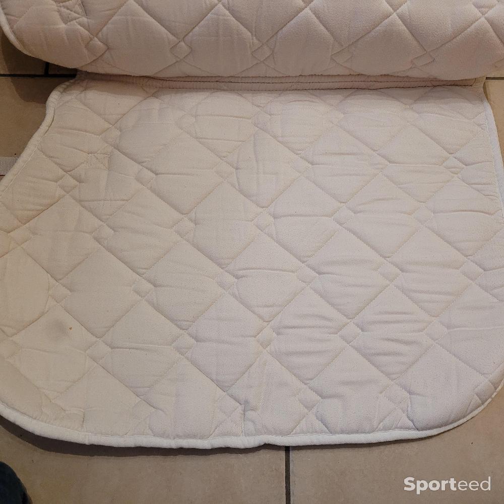 Equitation - Tapis blanc taille cheval GEPL - photo 2