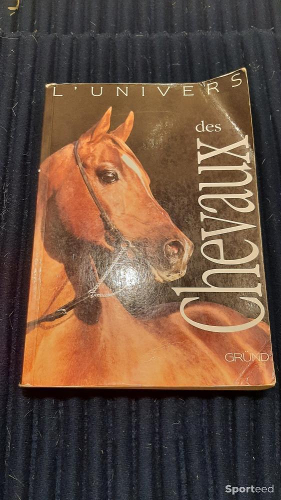 Equitation - L'univers des chevaux - photo 1