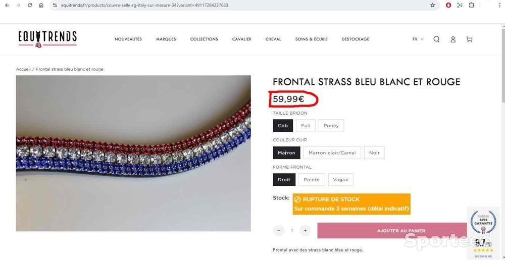 Equitation - Frontal equitrends strass 🔵⚪️🔴 - photo 5