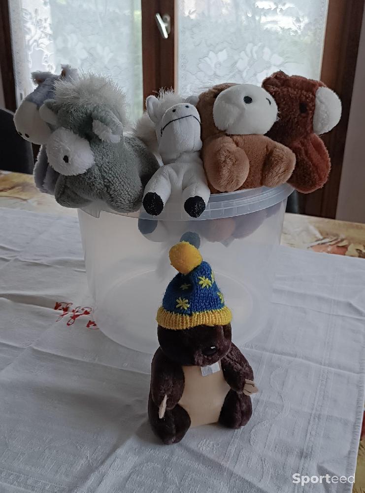 Equitation - Lot de 6 petites peluches, dont 5 chevaux - photo 1