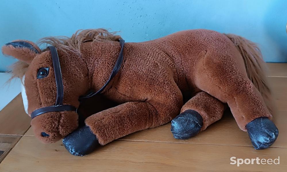 Equitation - Cheval en peluche, assez grand - photo 1