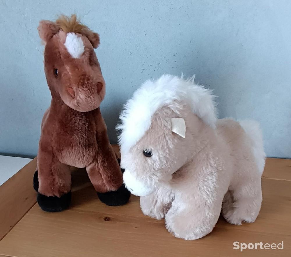 Equitation - Lot de 2 peluches cheval - photo 1