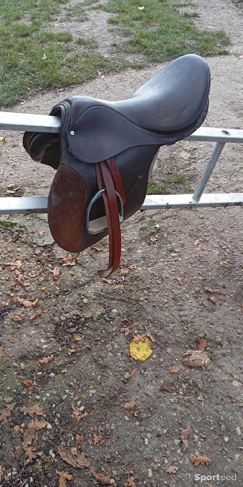 Equitation - selle - photo 1