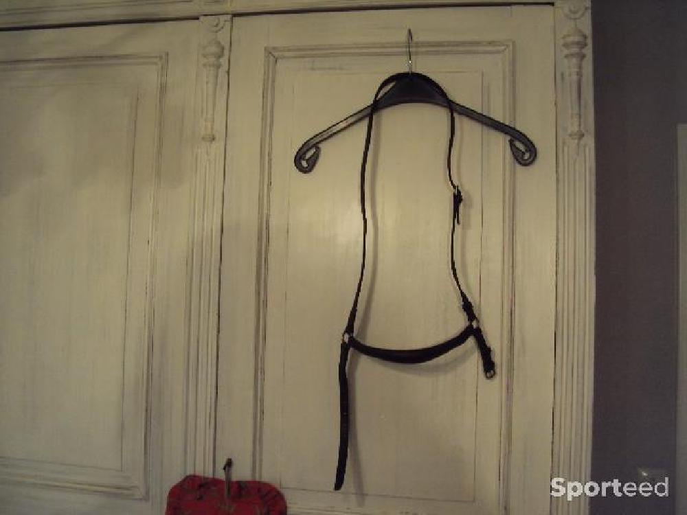 Equitation - muserolle allemande - cuir brun foncé - taille cheval - photo 1