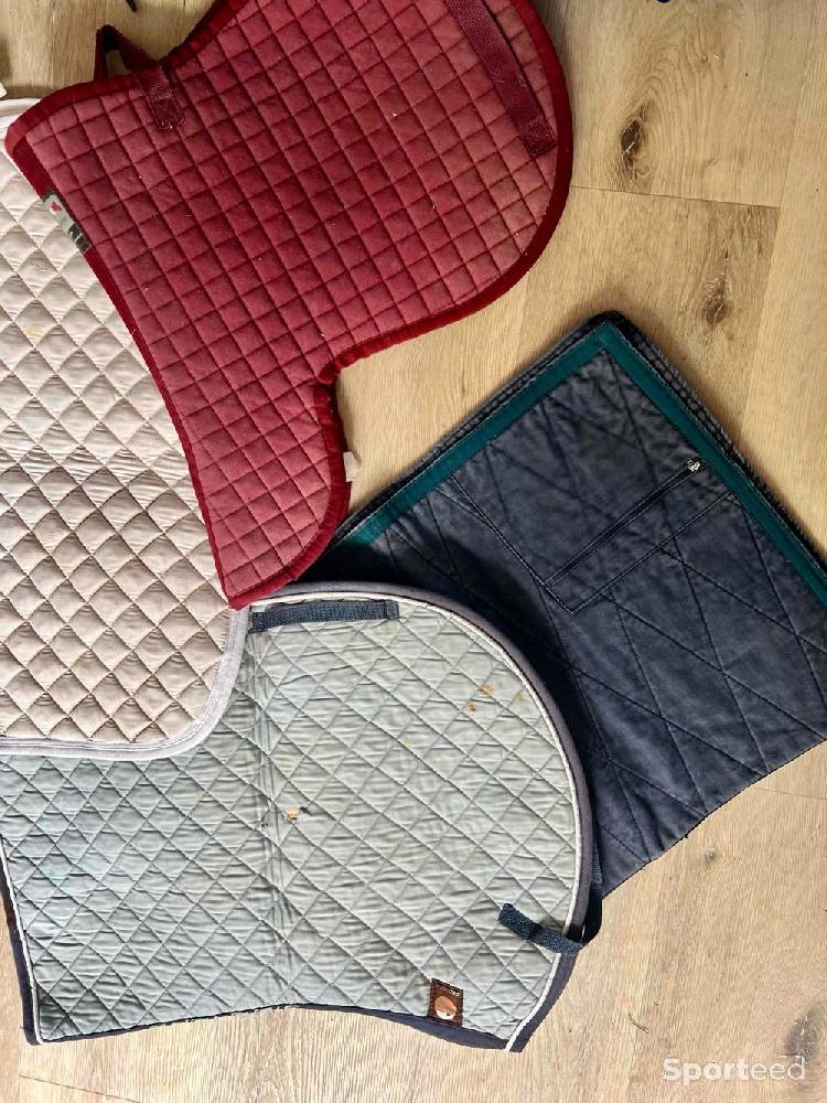 Equitation - Tapis  - photo 1
