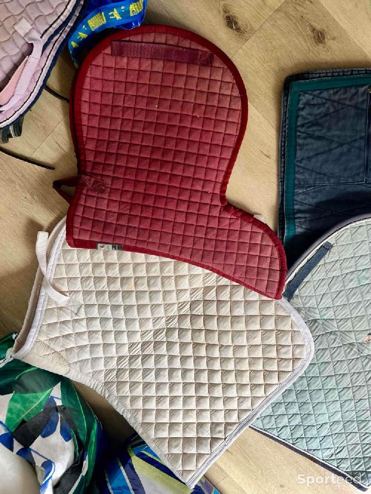 Equitation - Tapis  - photo 2