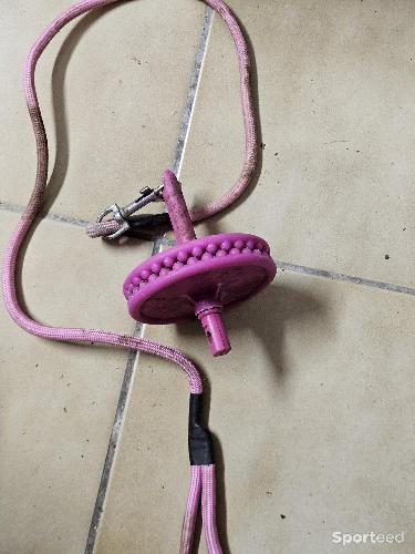 Porte pierre à lecher Likkit