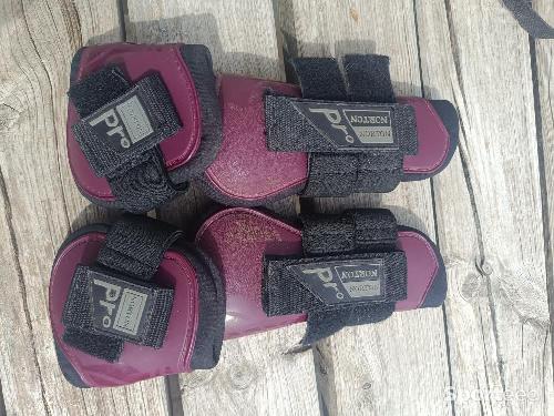 Protection Norton pro 