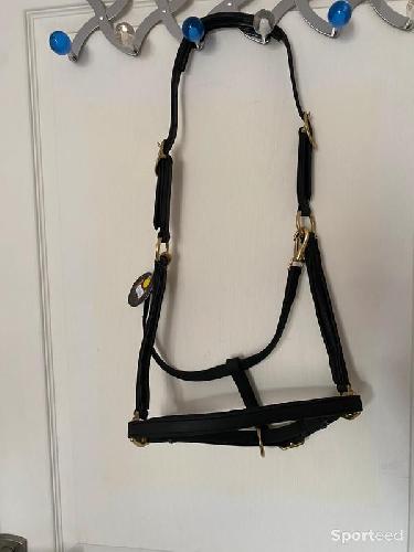 Equitation - Licol BIOTACK® noir Cheval - photo 6