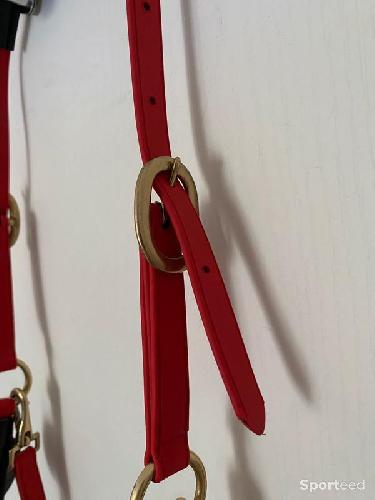 Equitation - Licol BIOTACK® Rouge Cheval - photo 6