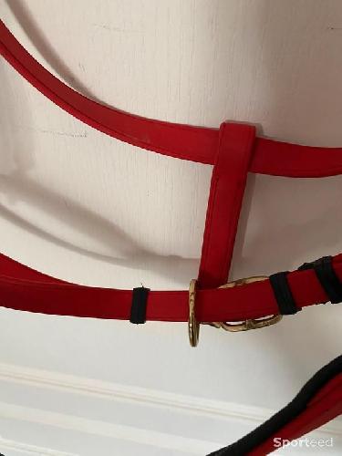 Equitation - Licol BIOTACK® Rouge Cheval - photo 6