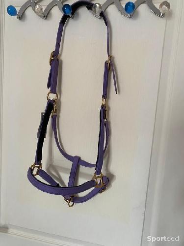 Equitation - Licol BIOTACK® violet Cheval  - photo 6