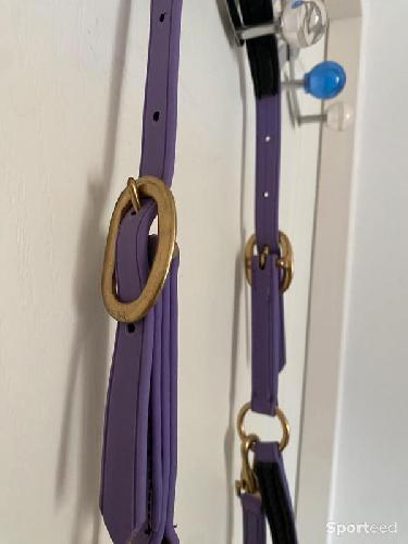Equitation - Licol BIOTACK® violet Cheval  - photo 6