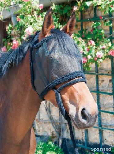 Equitation - Bonnet de pré sans oreilles Cheval - photo 5
