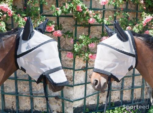 Equitation - Bonnet de pré avec arceau, Poney - photo 4