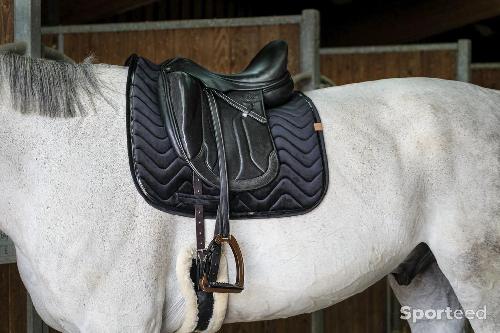 Equitation - Tapis de Selle « Glossy » noir dressage - photo 6