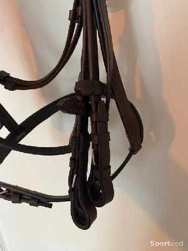 Equitation - Bridon « Muserolle Française » Shetland havane - photo 6