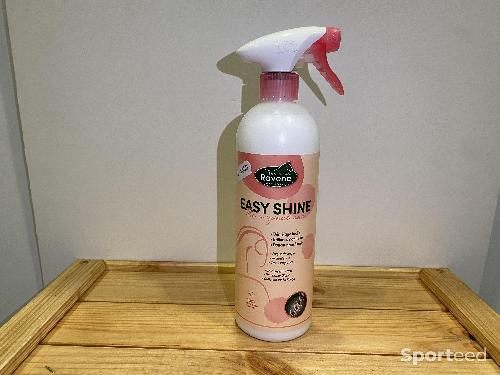 Easy Shine 750mL
