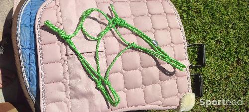 Licols vert pomme poney/cob