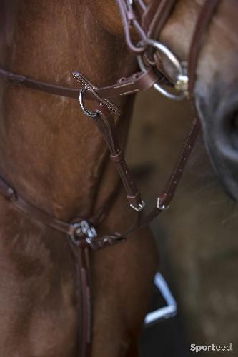 Equitation - Collier de Chasse havane cheval - photo 4