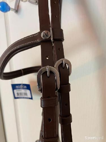 Equitation - Side-Pull « Confort » havane cheval - photo 6