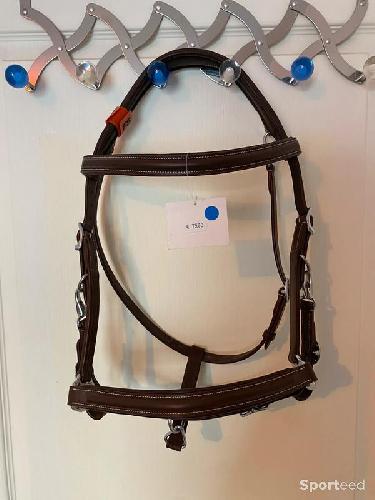 Equitation - Bridon Licol « Trekking » cheval - photo 6