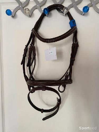 Equitation - Bridon « Fin » Cob/Pur-sang - photo 6
