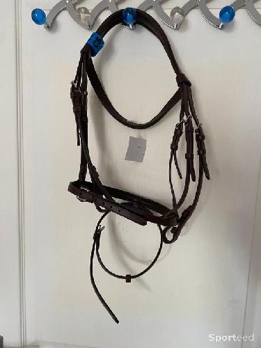 Equitation - Bridon « Fin » Cob/Pur-sang - photo 6