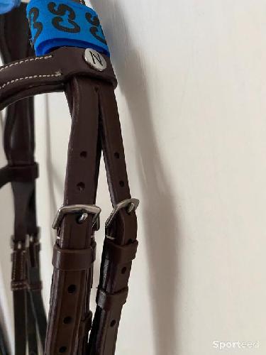 Equitation - Bridon « Fin » Cob/Pur-sang - photo 6