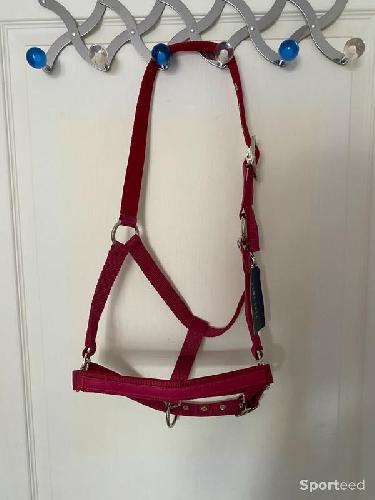 Equitation - Licol « LC » framboise cheval - photo 6