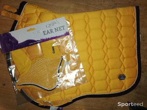 Equitation - ensemble de cross QHP PONEY neuf  - photo 4