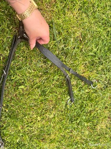 Equitation - Collier de chasse  - photo 6
