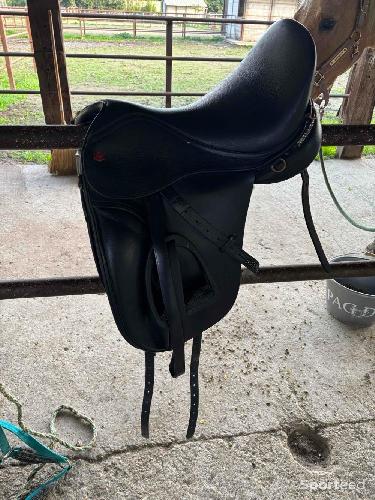 Equitation - Équitation  - photo 5