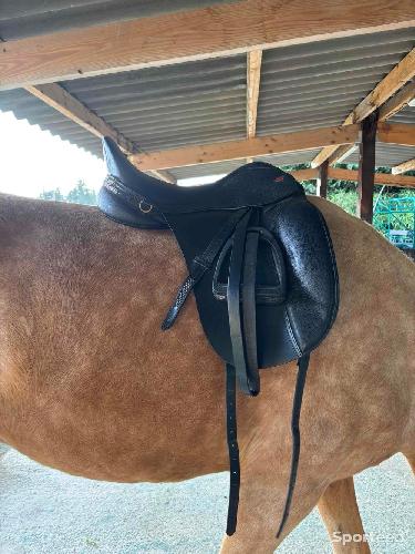 Equitation - Équitation  - photo 5