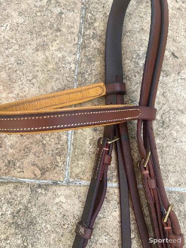 Equitation - Bridon  - photo 6