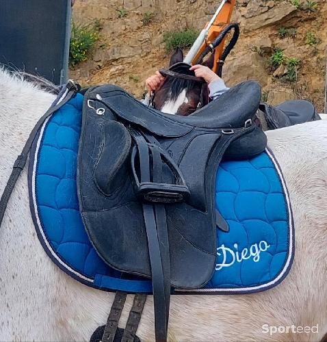 Equitation - Selle wintec endurance - photo 3